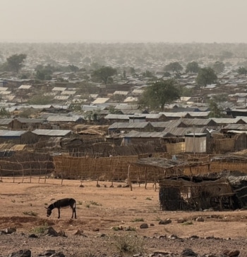 Sudán, la guerra cruenta y remota que parece no preocupar a nadie [...]
