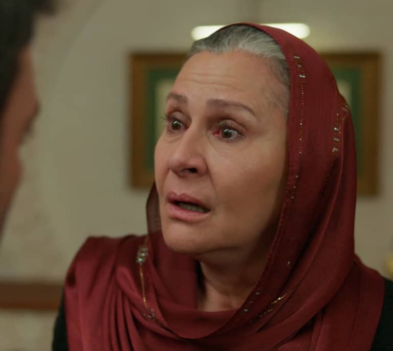 En tierra lejana, avance del capítulo 11 de la temporada 1 este lunes 20 y martes 21 de abril: Sadakat revela un secreto familiar que destruye a Cihan