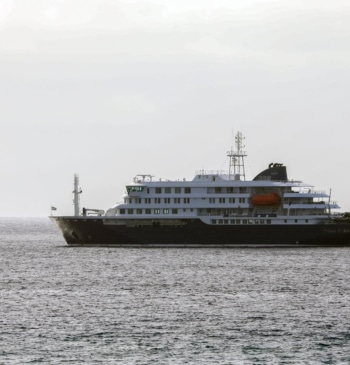 España acuerda con la OMS que el crucero con hantavirus haga escala [...]