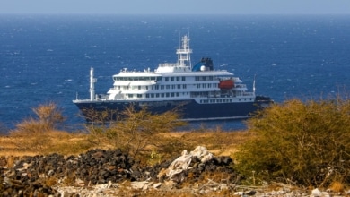¿Es peligroso que atraque en Canarias el crucero con casos de Hantavirus?