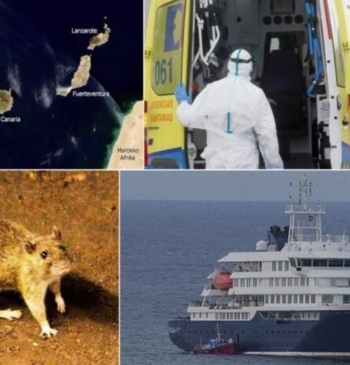 El Instituto Coordenadas alerta de que el caso del crucero con hantavirus [...]