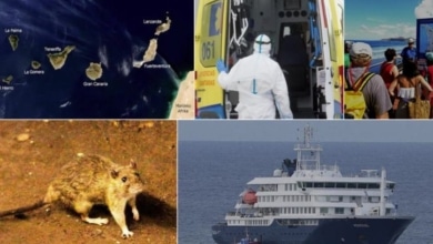 El Instituto Coordenadas alerta de que el caso del crucero con hantavirus amenaza la reputación turística internacional de Canarias