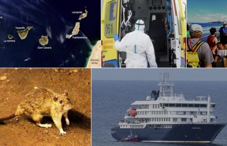 El Instituto Coordenadas alerta de que el caso del crucero con hantavirus amenaza la reputación turística internacional de Canarias
