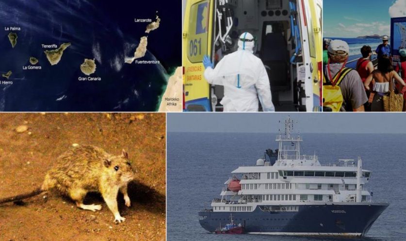 El Instituto Coordenadas alerta de que el caso del crucero con hantavirus amenaza la reputación turística internacional de Canarias