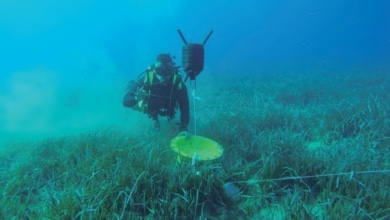 El desminado submarino: los buques militares españoles donde el ojo humano tiene la última palabra
