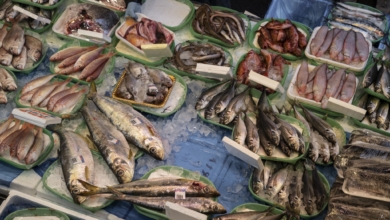 ¿Es más caro comprar el pescado envasado o directamente en la pescadería? Esto dice la OCU