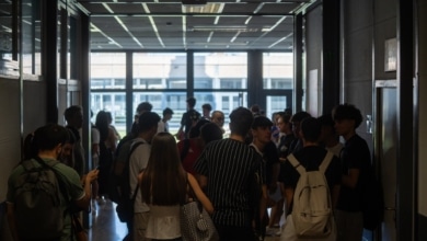 Ni demasiado relajado ni al borde de un ataque de nervios: por qué el estrés puede ser un aliado para tu cerebro