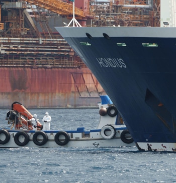 El crucero del hantavirus atracará en el puerto canario de Granadilla por [...]
