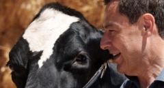 Más del 62% del voto de agricultores y ganaderos iría a la derecha en Andalucía