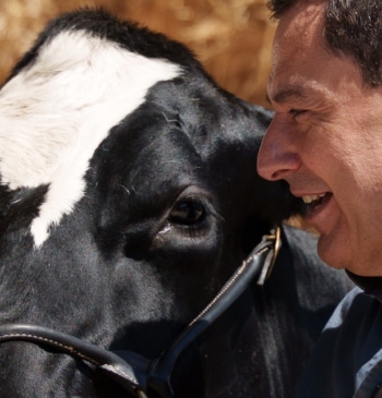 Más del 62% del voto de agricultores y ganaderos iría a la [...]