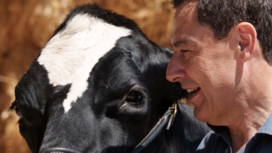 Más del 62% del voto de agricultores y ganaderos iría a la derecha en Andalucía
