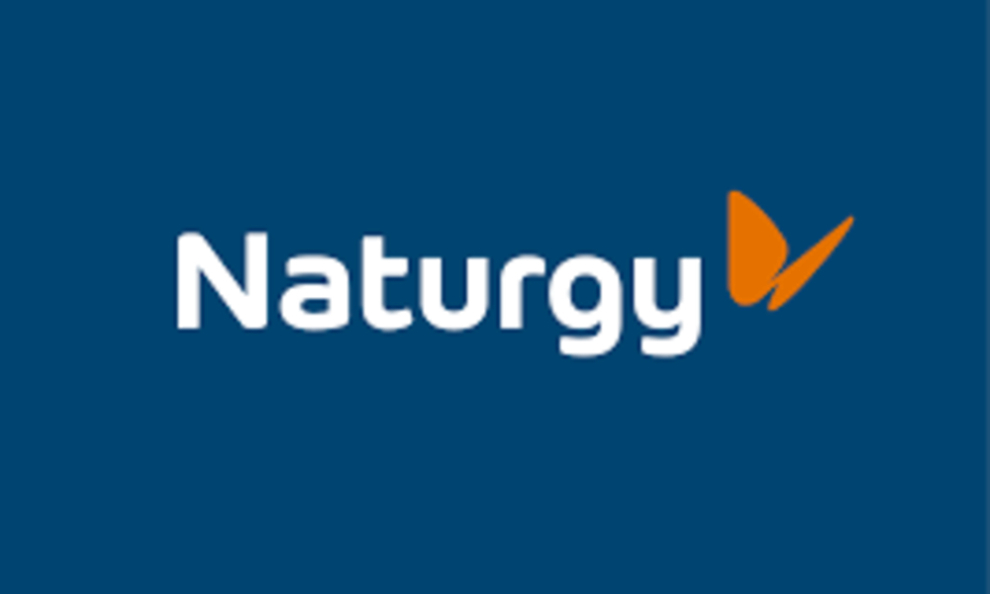 Naturgy
