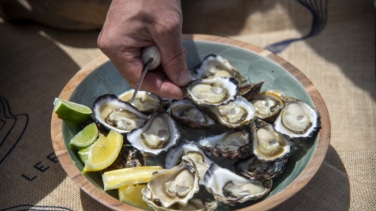 Del criadero al bar: la ostra gana peso en el consumo urbano europeo