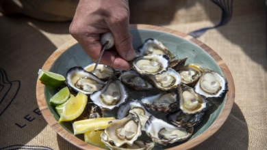 Del criadero al bar: la ostra gana peso en el consumo urbano europeo