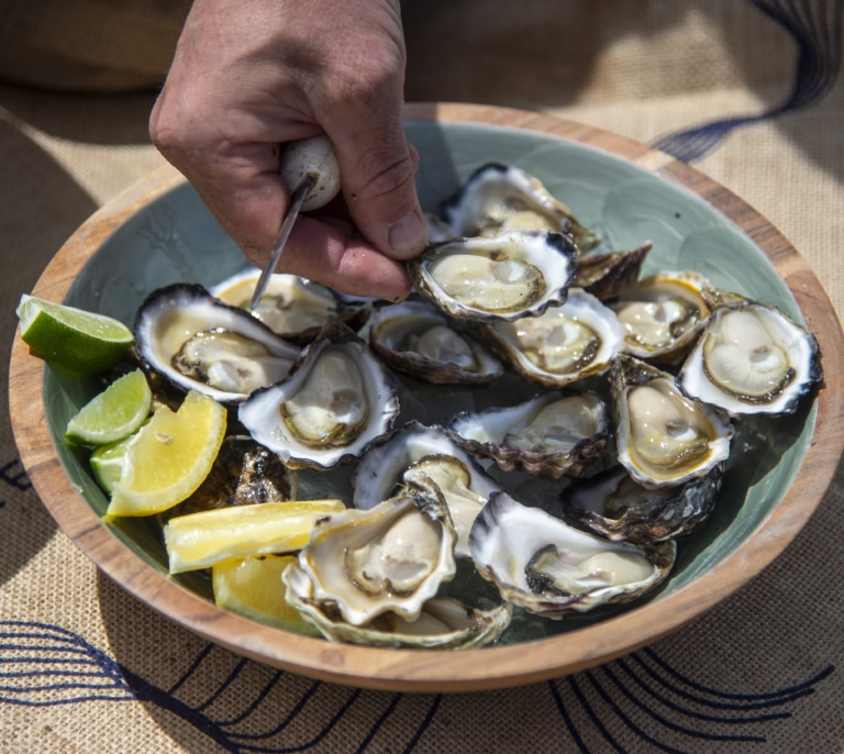Del criadero al bar: la ostra gana peso en el consumo urbano europeo