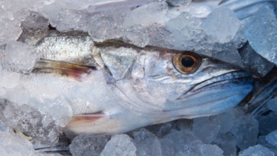 ¿Pescado en bandeja o de pescadería?: la OCU responde cuál es más económico