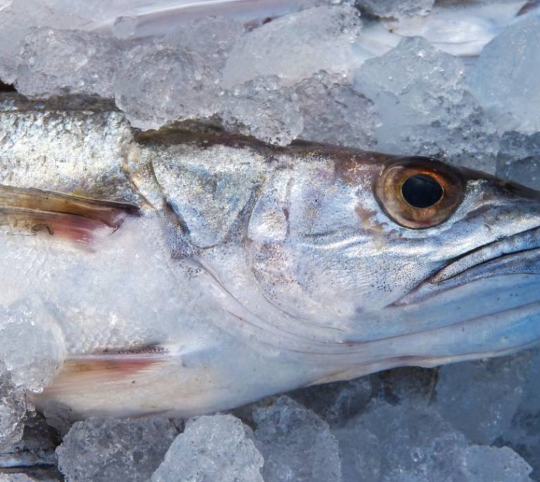 ¿Pescado en bandeja o de pescadería?: la OCU responde cuál es más económico