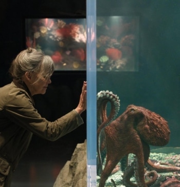Fotograma de 'Criaturas Luminosas'