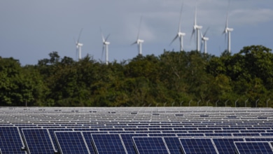 Las renovables cierran el mejor cuatrimestre de su historia: generan el 61% de la energía en España