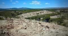 El proyecto REFLORESTA impulsa la recuperación de las 15.000 hectáreas arrasadas por el incendio de Almonaster la Real