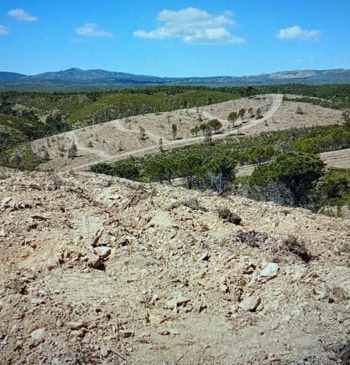 El proyecto REFLORESTA impulsa la recuperación de las 15.000 hectáreas arrasadas por [...]