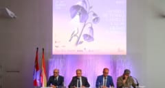La Feria de Teatro de Castilla y León apuesta por la renovación con 15 estrenos y 46 espectáculos