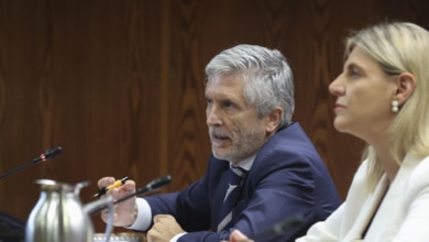 Marlaska se distancia de la directora de la Guardia Civil y dice que no recuerda si le dijo que se reunió con Leire Díez o "con una persona del PSOE"