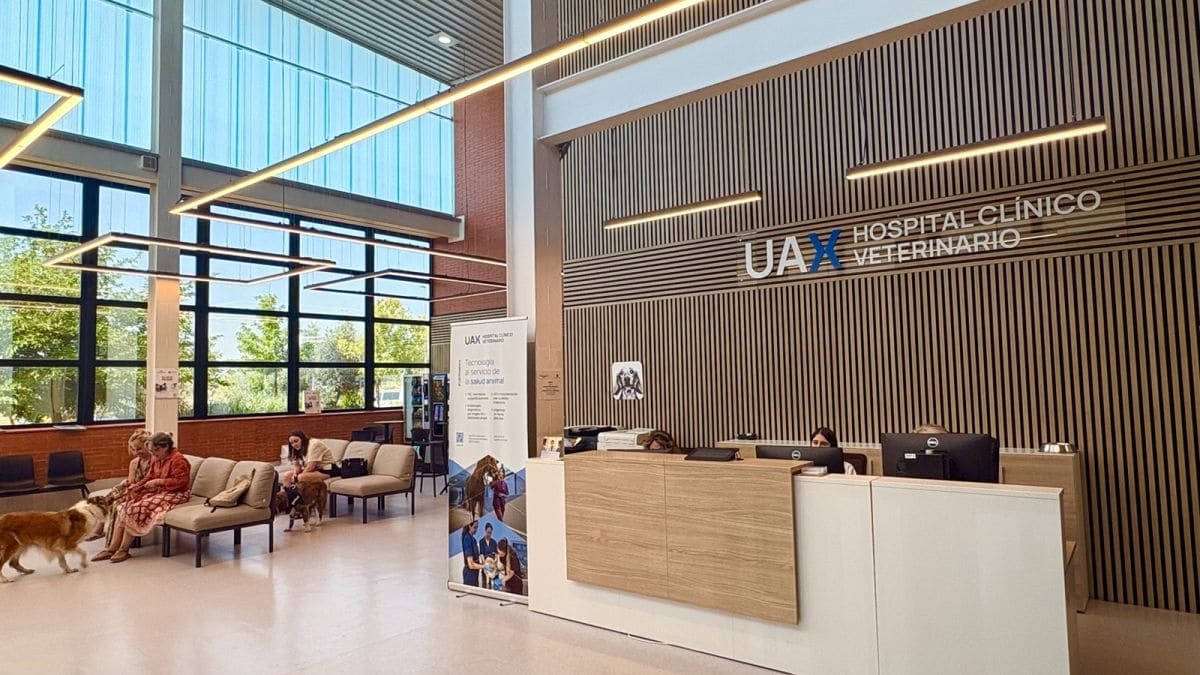 El Hospital Clínico Veterinario de UAX celebra 20 años de vanguardia veterinaria como referente europeo