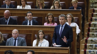 Feijóo golpea a Sánchez con el 'caso Leire': "Señor P. S., si sabía todo, tendrá que dimitir por corrupción y si no por incompetente"