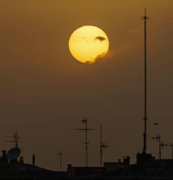 La OMS advierte de un repunte del calor extremo en 2026 por [...]