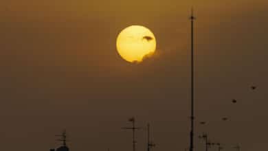 La OMS advierte de un repunte del calor extremo en 2026 por el fenómeno de El Niño