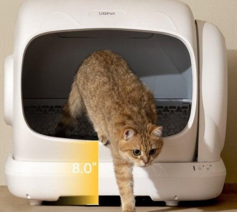 Tu verano va a ser más cómodo con este arenero para gatos que elimina los olores y reduce la limpieza