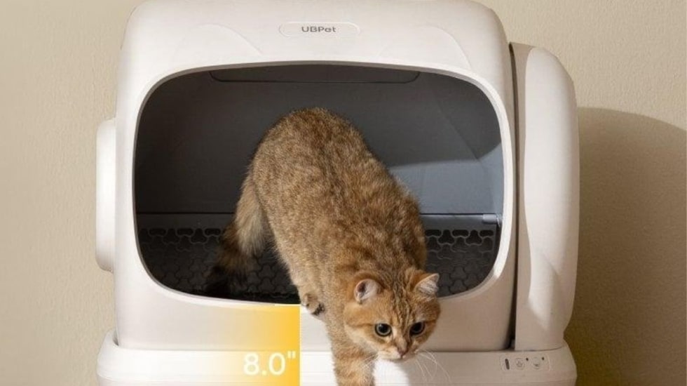 Tu verano va a ser más cómodo con este arenero para gatos que elimina los olores y reduce la limpieza