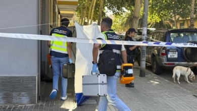 Un joven de 24 años mata a puñaladas al logopeda de su hijo en Valencia