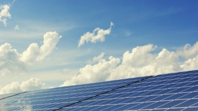 Precio de la luz hoy, 11 de junio: ¿cuál es el impacto de las energías renovables?