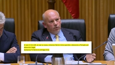 Leire quería acabar con Peinado por un supuesto informe falso de un agente de la UDEF en el caso de Nervis Villalobos