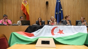 La ley de nacionalidad saharaui avanza: el PSOE convoca al fin la ponencia para presentar el dictamen al Congreso