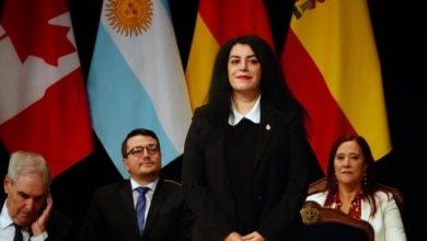 'Persépolis' estrena edición coleccionista por su 25 aniversario y en memoria de Marjane Satrapi