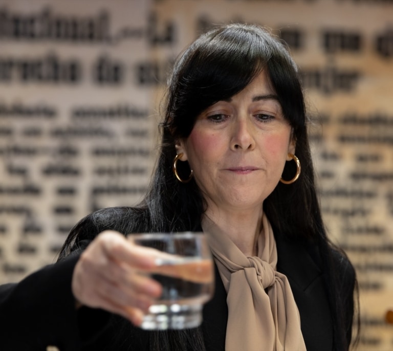 Pedraz imputa en el 'caso Leire' a la presidenta de la SEPI, a la ex cúpula de Tubos Reunidos y al fundador de Forestalia