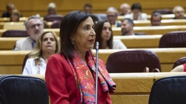 Robles, sobre el fracaso del caza europeo: "Se han antepuesto intereses de la industria a la seguridad de Europa"