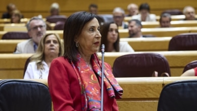 Robles, sobre el fracaso del caza europeo: "Se han antepuesto intereses de la industria a la seguridad de Europa"