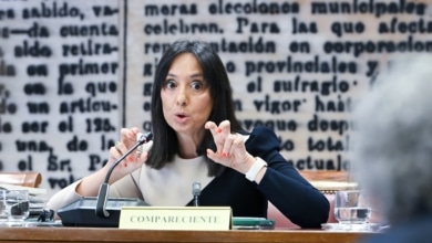 La directora de la Guardia Civil mintió en el Senado: admite que no informó a la UCO de que conocía a Leire porque "no me parecía bien darles más información"