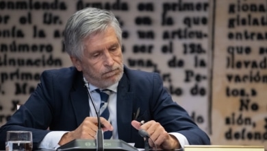 Marlaska cesará a la directora de la Guardia Civil si se demuestra que se "reunió" con Leire tras conocerse su campaña contra la UCO