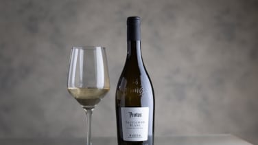 Videocata: Protos celebra 20 años en Rueda con su nuevo Sauvignon Blanc
