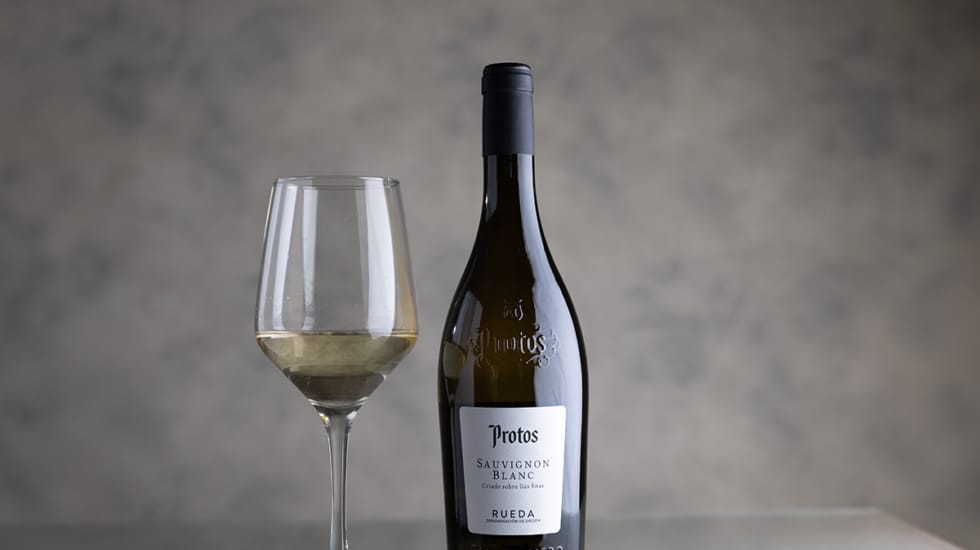 Videocata: Protos celebra 20 años en Rueda con su nuevo Sauvignon Blanc