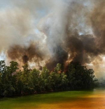 La UME se incorpora a los trabajos de extinción del incendio en [...]