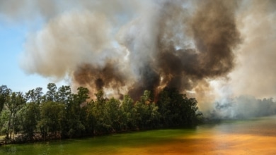 La UME se incorpora a los trabajos de extinción del incendio en Huelva ante la previsión de un "escenario más complejo"
