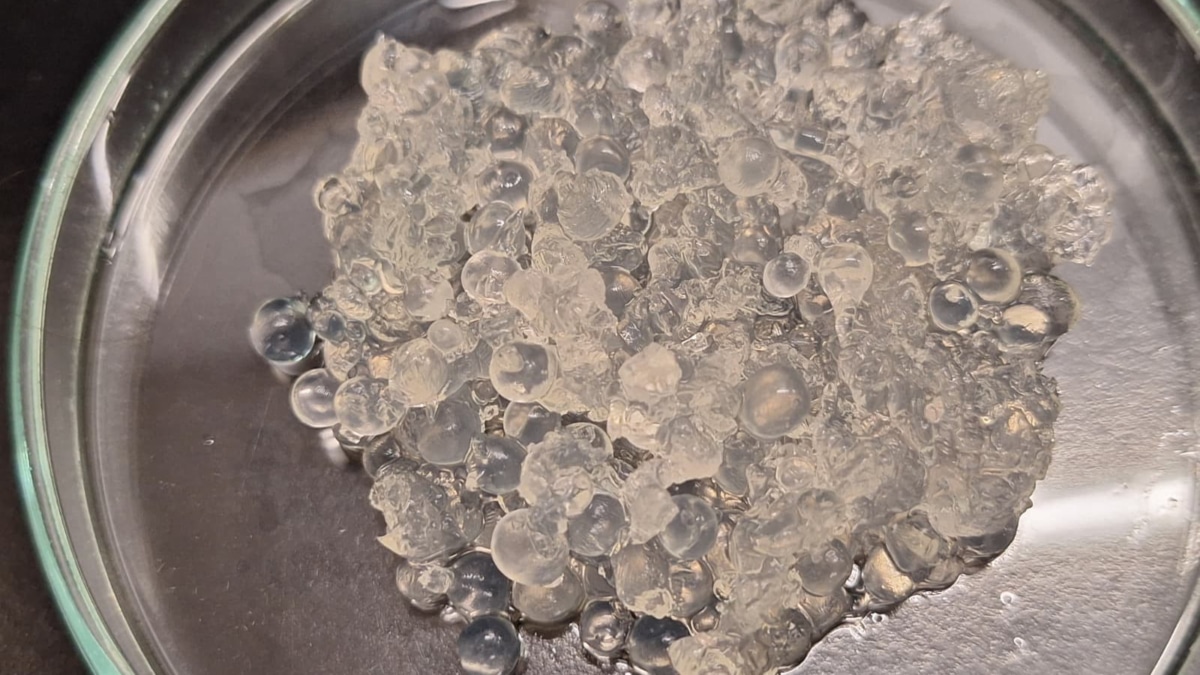 Muestra del hidrogel desarrollado por la Universidad de Sevilla.