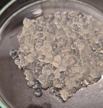 Investigadores andaluces diseñan un hidrogel a partir de algas y cáscaras de [...]