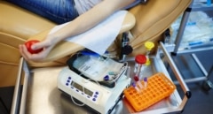 Tres hospitales madrileños, designados centros nacionales de alto rendimiento para el trasplante de médula